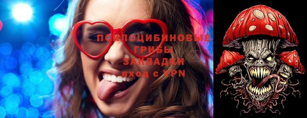шишки Иннополис