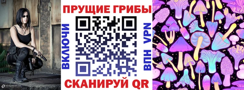 Псилоцибиновые грибы Psilocybine cubensis  Красноуфимск 